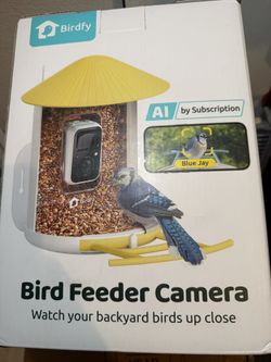 Bird Feeder With AI Camera
