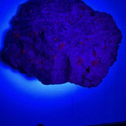 Lord of The Rings - Jewelry - Mines of Moria - Genuine Rubies