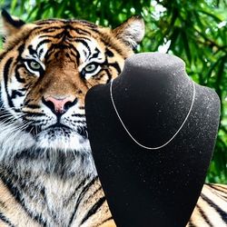 925 Sterling Silver Snake Chain