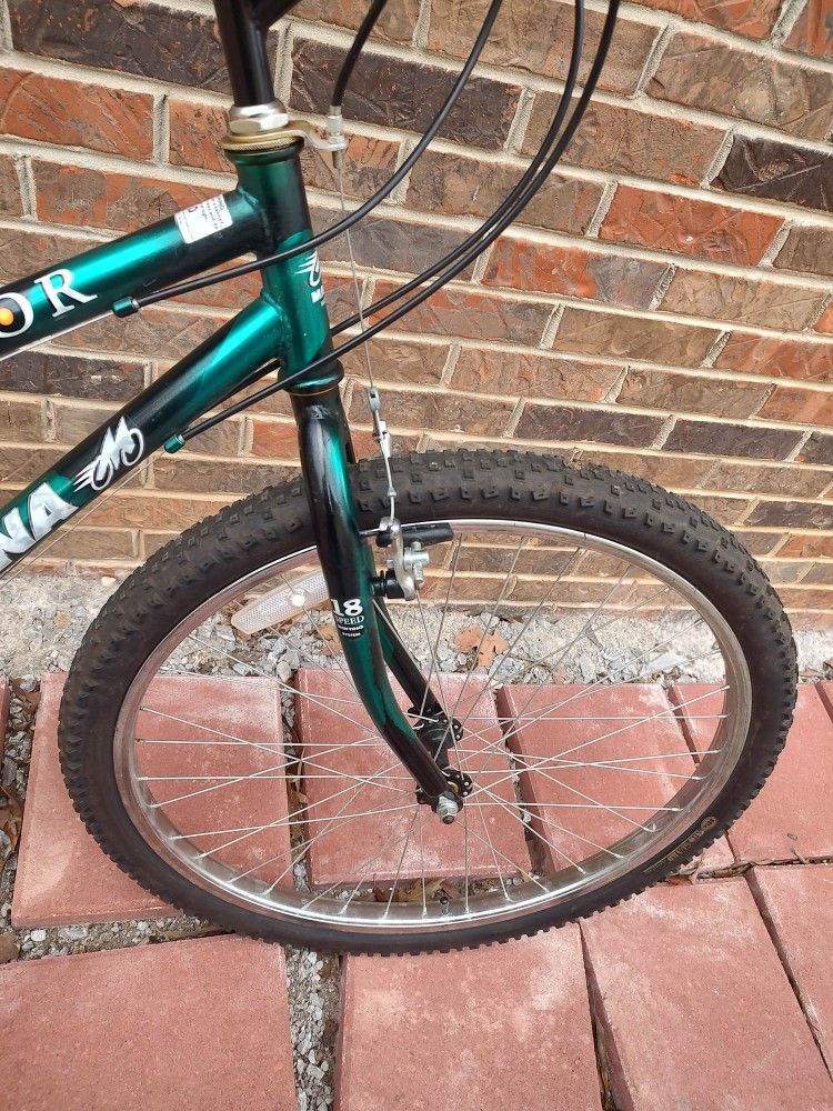 Magna Equator 2001 Bike.