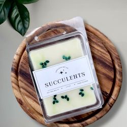 STRONG SCENTED 2 PACK Succulent Soy Wax Melts | Wax Tarts | Home Fragrance 