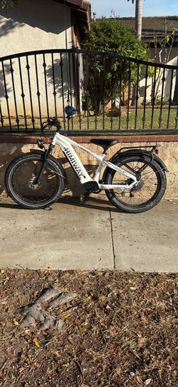 D5 Zebra Himiway E-Bike