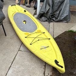 Stand Up Paddleboards