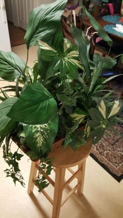 Artificial flower decorative plants $99.99