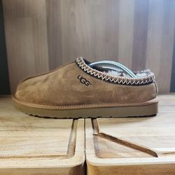Men ugg Tasman 