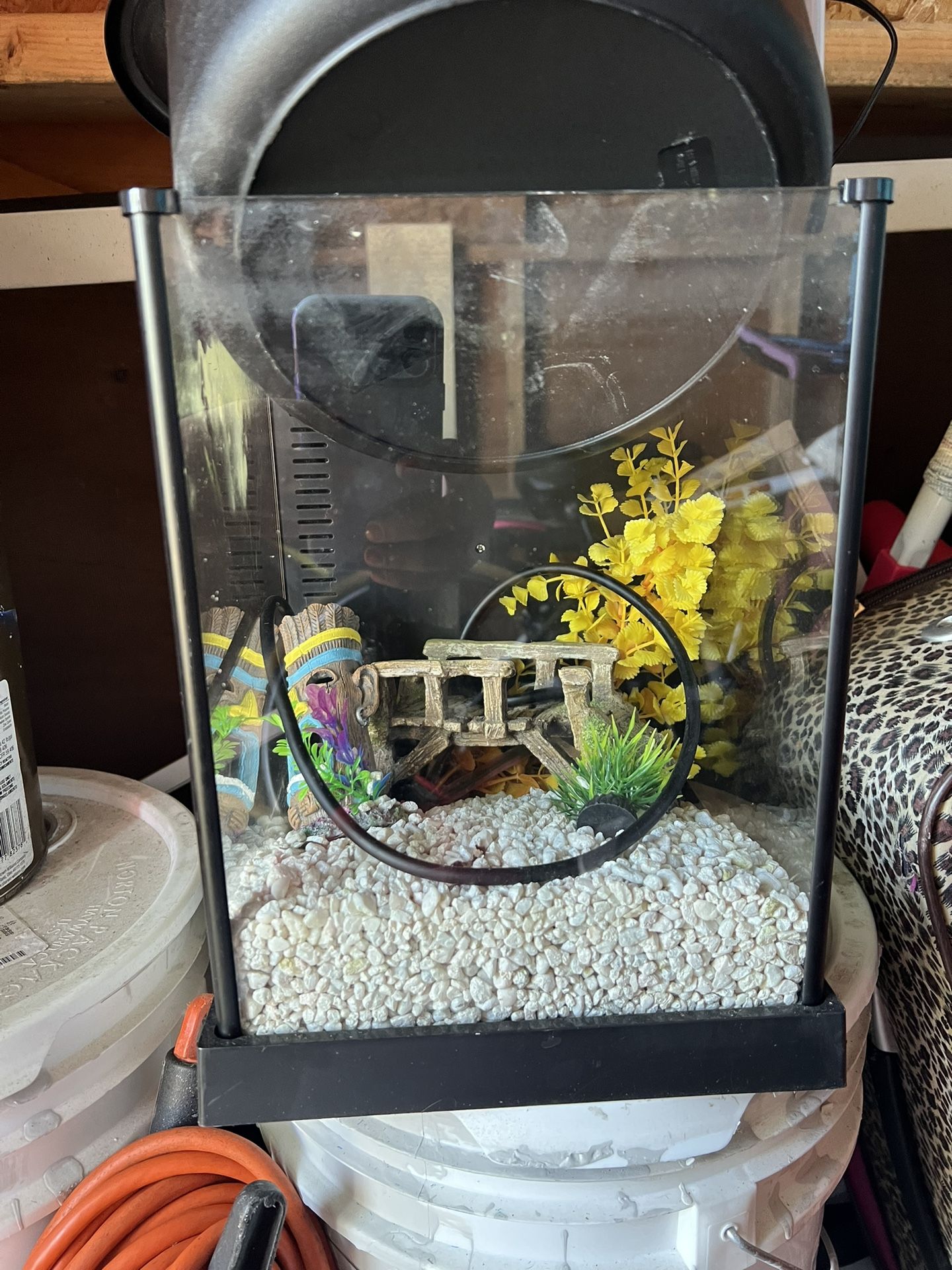 Small Fish Tank 