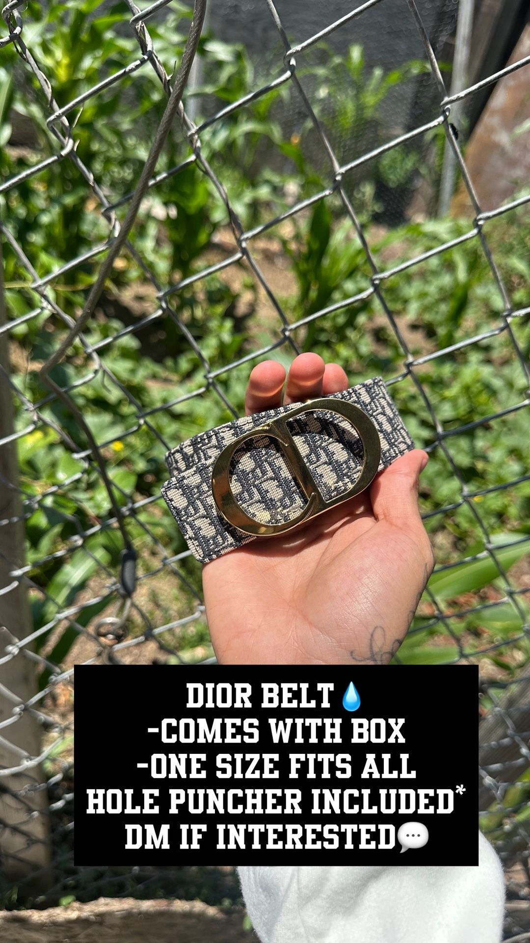 Designer Belt