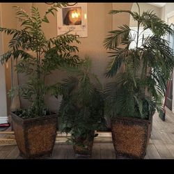 3 Artificial Plants With Metal Pots USED