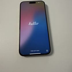 iPhone 15 Pro Max 