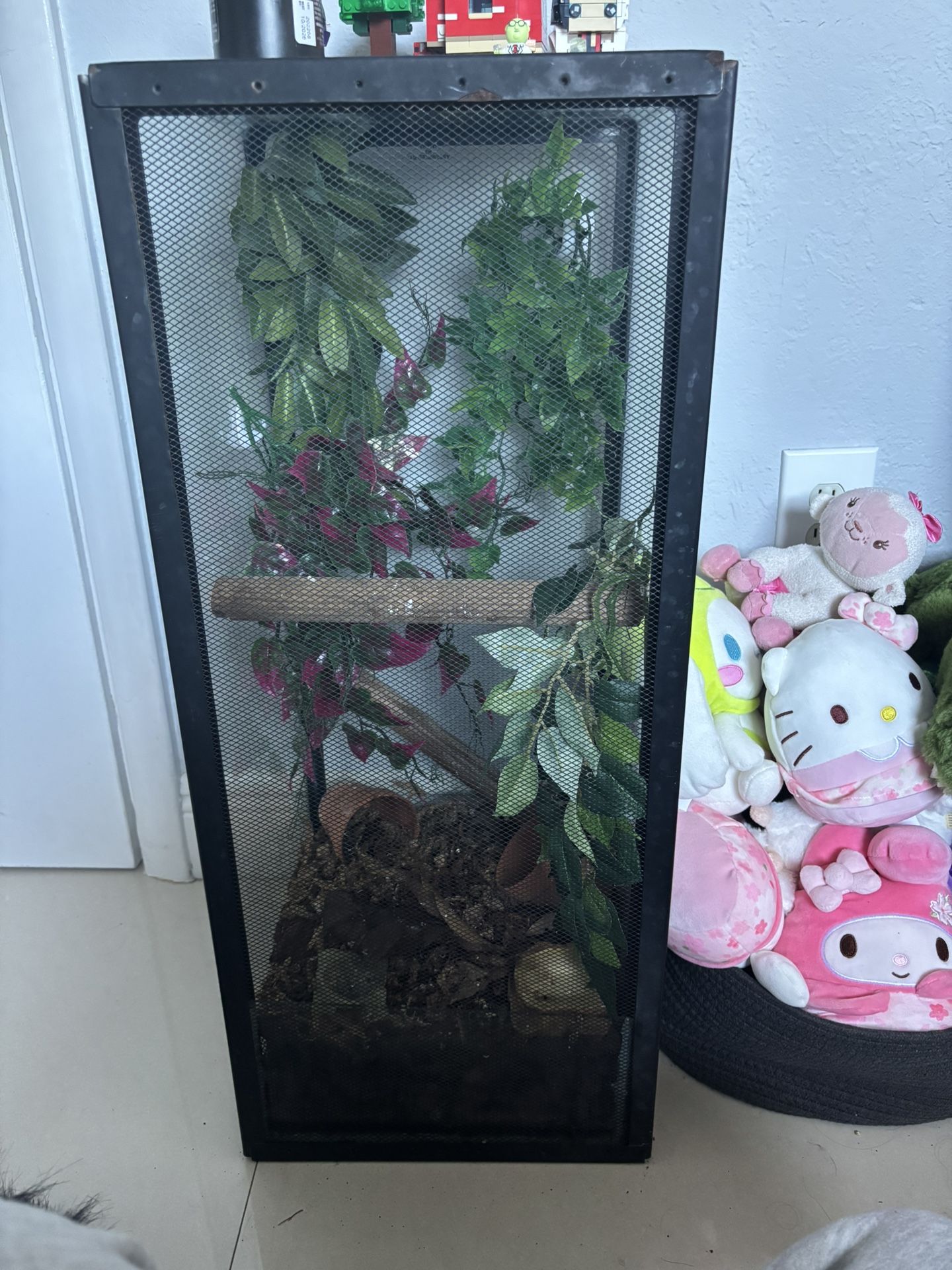 20 gallon long tank