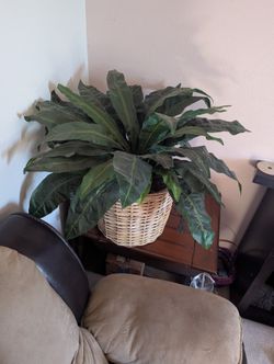 Bird's Nest Artificial Plant