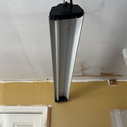 Light