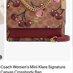 Coach Cherry Purse