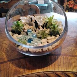 Terrarium 
