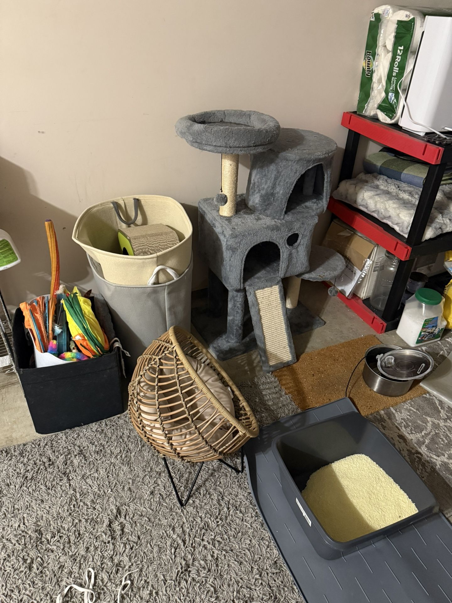 Free Cat Supplies - Pick up only