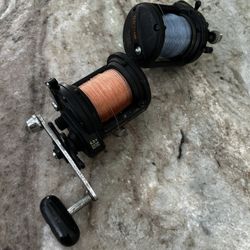 Shimano TLD Star 20/40S Conventional Saltwater Fishing Reels