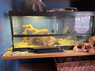 LOT Reptile/Amphibian Terrarium 36x18x18 with Accessories