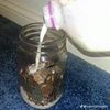 Dddrpepper497