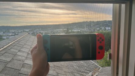 Nintendo switch