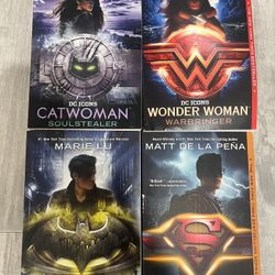 DC Icons Series: Catwoman, Wonder Woman, Superman, and Batman