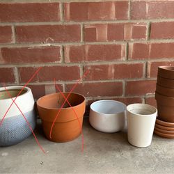 Plant Pots