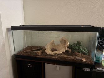 Glass Reptile Tank with Screen Lid