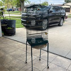 Bird Cage 