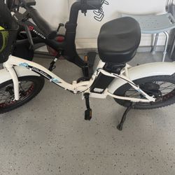 Electric bike