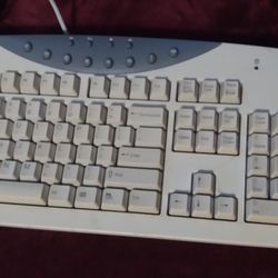 VINTAGE PC PS2 COMPUTER KEYBOARD SK-9920 TESTED RETRO GAMING