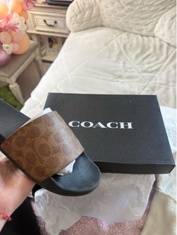 Brown coach slides