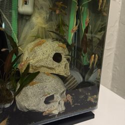 Fish Tank $4 Each 