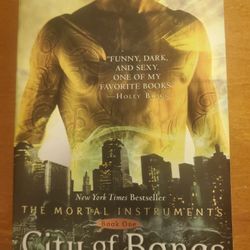 The Mortal Instruments Books 1&2 