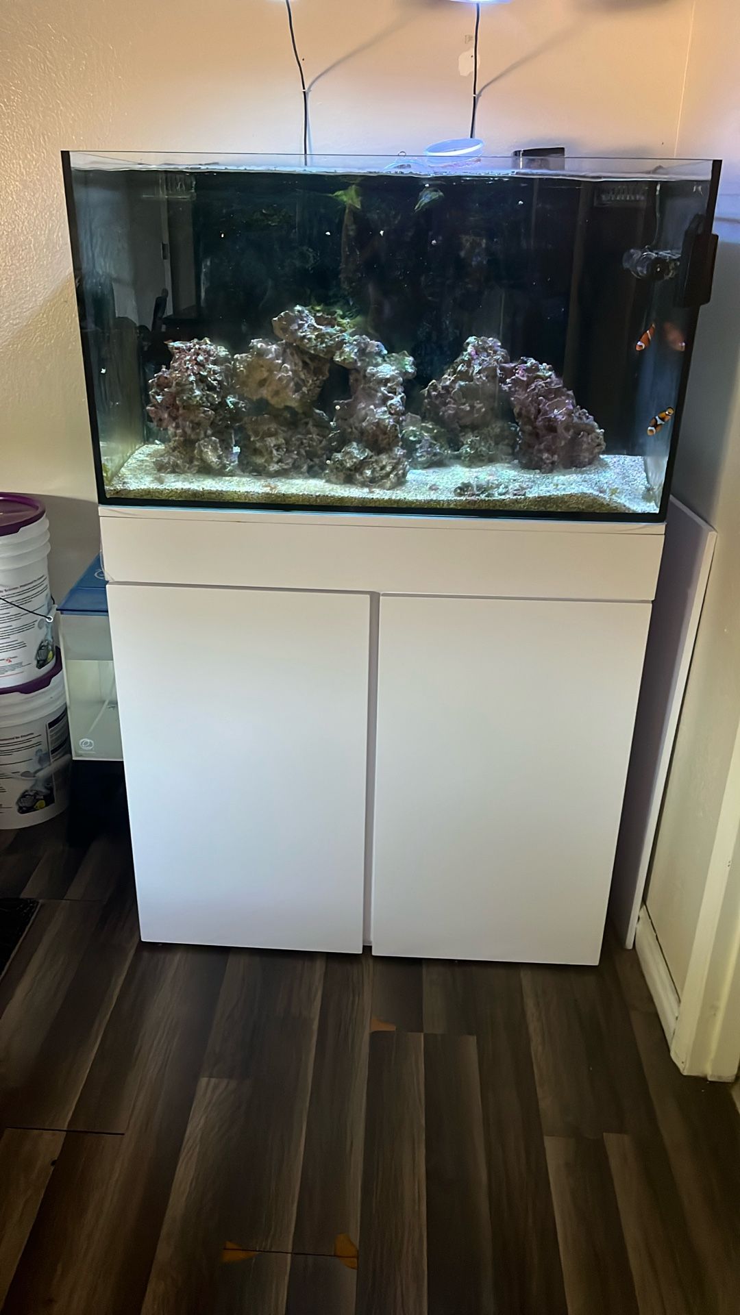 65 Gallon Rimless Complete Fish Tank And Stand