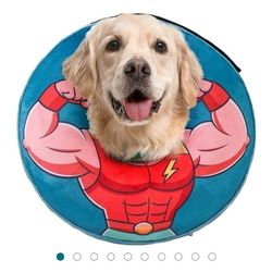 Dog Collar 