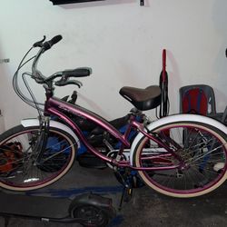 Bicicleta  