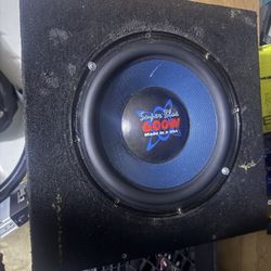 10” Sub Speaker