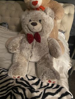 Teddy Bear Perfect For Valentine’s Day