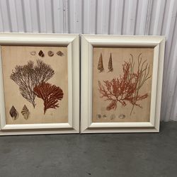 Pair Of Paintings 