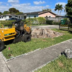 Stump Grinding 