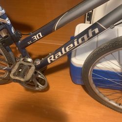 Raleigh SC 30