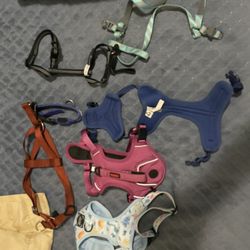 Dog Harness 