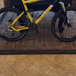 Giant Mountain Bike  Awesome Condition 