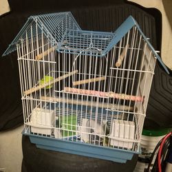 Bird Cage 