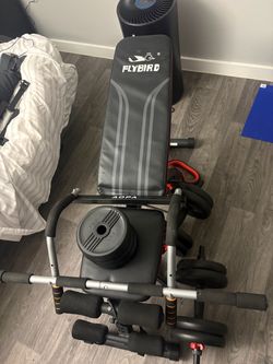 Fly Bird Bench + Weights