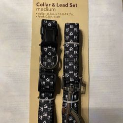 Dog Collar & Leash Set 