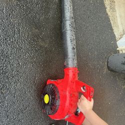 Leaf blower 