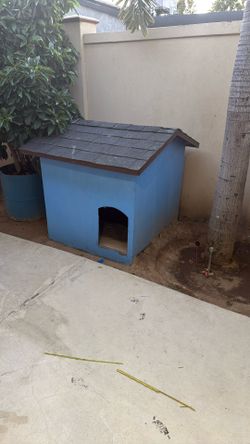 dog house