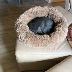 Cat Or Small Dog Bed 