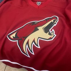 Shane Doan XL Youth Jersey!
