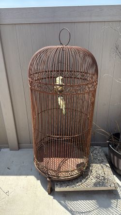 Bird Cage